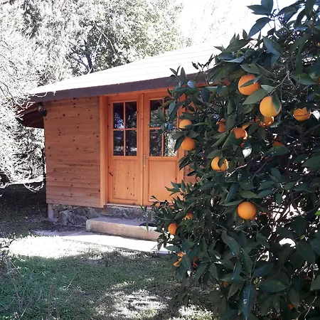 Kerpic Evler Yanıklar